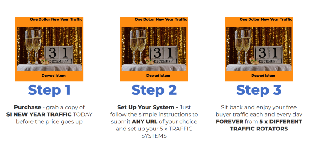 $1 New Year Traffic Reviews 2025